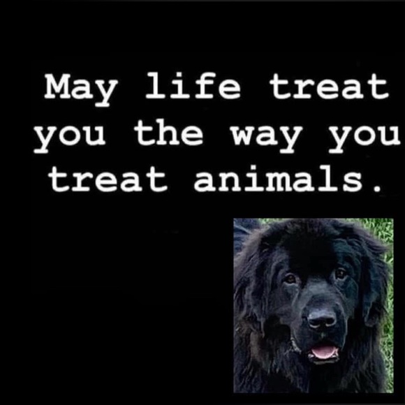 Meet your Posher, Christina - Picture 6 of 9